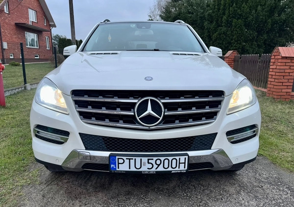 Mercedes-Benz ML cena 75000 przebieg: 185500, rok produkcji 2011 z Turek małe 352